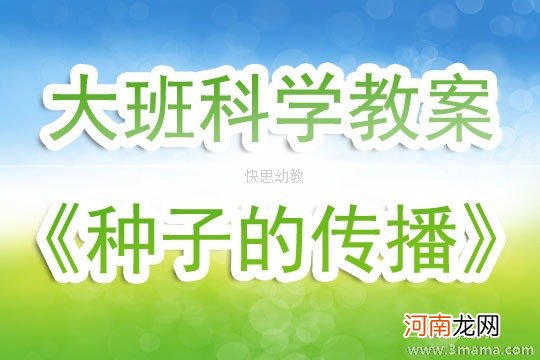 大班科学活动种子的传播教案反思