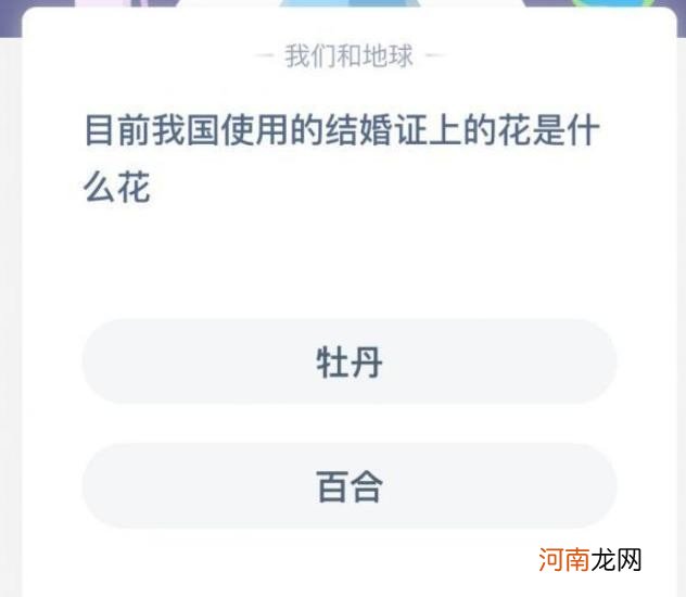 结婚证上的花是什么花 结婚证上是什么花卉