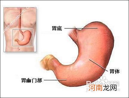 胃炎患者吃什么好