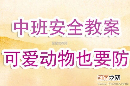 附教学反思 中班主题活动教案：可爱的动物教案