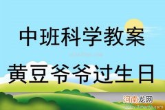 中班科学活动豆瓶乐教案反思