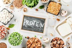 如何补充蛋白质最有效