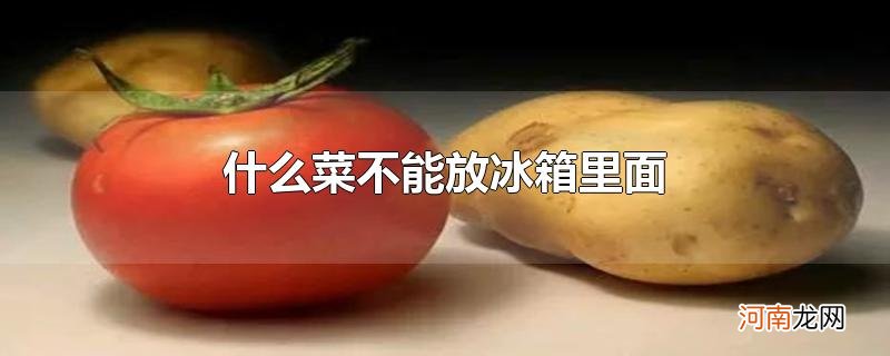 什么菜不能放冰箱里面