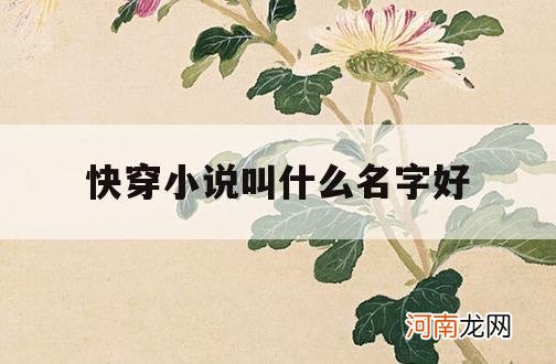 快穿小说叫什么名字好_快穿小说的名字