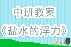 大班科学活动盐水真厉害教案反思