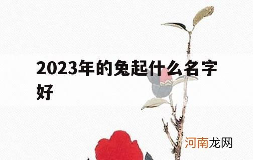 2023年的兔起什么名字好_2023兔年男孩取什么名字好