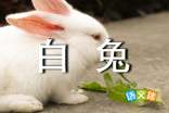 大班语言活动桃树下的小白兔教案反思