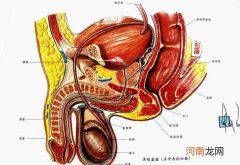 前列腺炎怎么判断严重程度