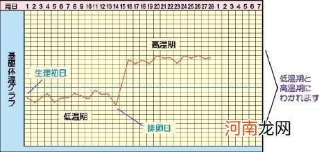 排卵期人的正常体温是多少度正常吗