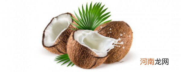 椰子的保留方法 椰子的保留方法介绍