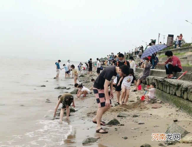 海鸥岛一日自驾游攻略 海鸥岛有什么好玩的？