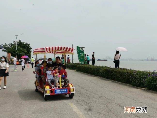 海鸥岛一日自驾游攻略 海鸥岛有什么好玩的？