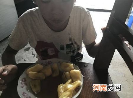 菠萝蜜剥下不熟怎么办