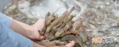 香炸海虾的做法 香炸海虾怎么做