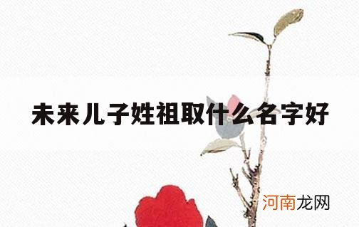 未来儿子姓祖取什么名字好_用祖取什么名字好