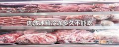 肉放冰箱冷冻多久不能吃