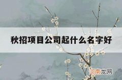 秋招项目公司起什么名字好_秋招有小公司吗