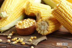 玉米哪个国家传入中国的 玉米什么时候传入中国的