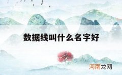 数据线叫什么名字好_数据线各种线的名称