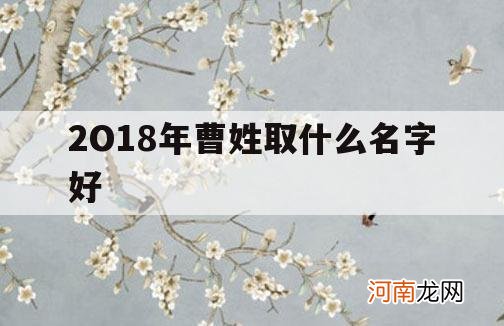 2O18年曹姓取什么名字好_姓曹孩子取名大全2019