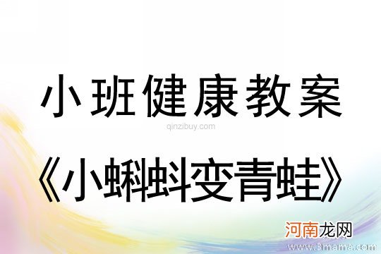 大班主题活动关爱我的小牙齿教案反思