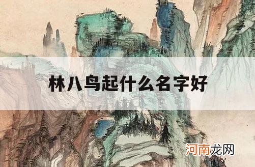 包含林八鸟起什么名字好的词条