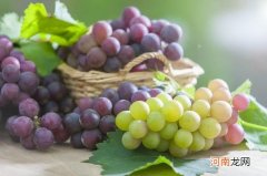 白葡萄酒的做法制作方法及步骤 白葡萄酒酿造流程