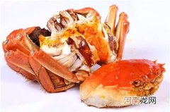 螃蟹的蟹黄能吃吗