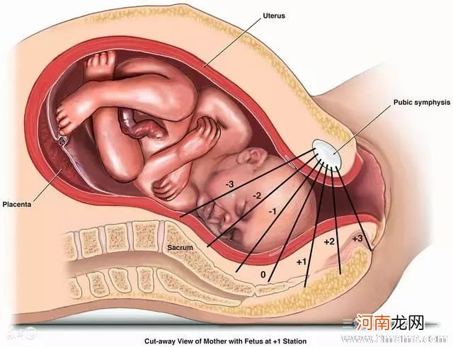 孕晚期入盆什么感觉