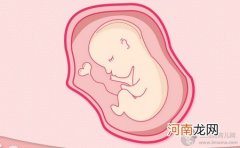 如何预防畸形胎儿