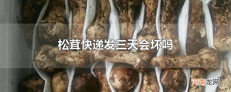 松茸快递发三天会坏吗