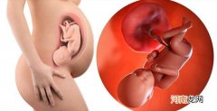 怀孕7-9个月胎儿进入猛涨期 怀孕9个月的注意事项