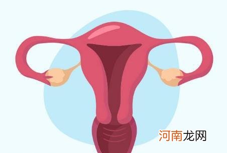 剖腹产恢复好的刀口图