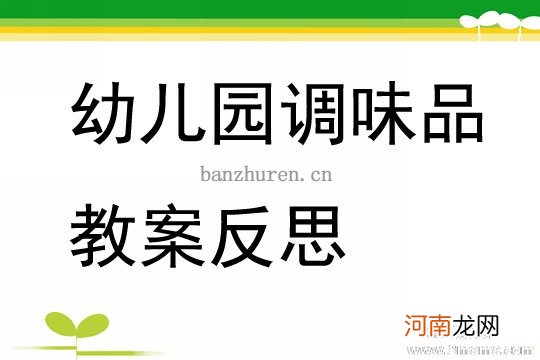 大班主题活动认识调味品教案反思