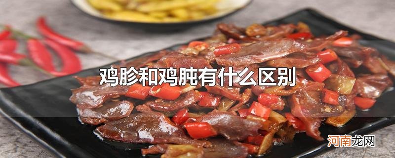 鸡胗和鸡肫有什么区别