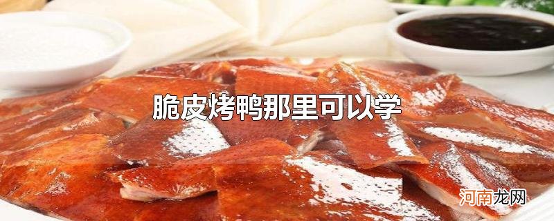 脆皮烤鸭那里可以学