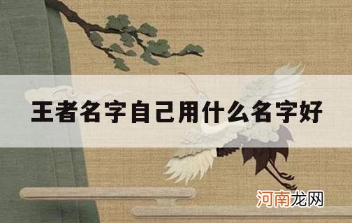 王者名字自己用什么名字好_王者该取什么名字好