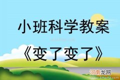 中班科学活动水的秘密教案反思