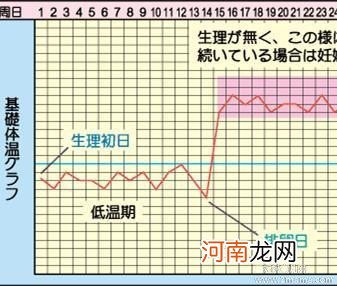 排卵期的4大症状及其表现