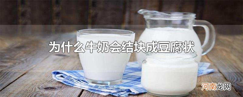 为什么牛奶会结块成豆腐状