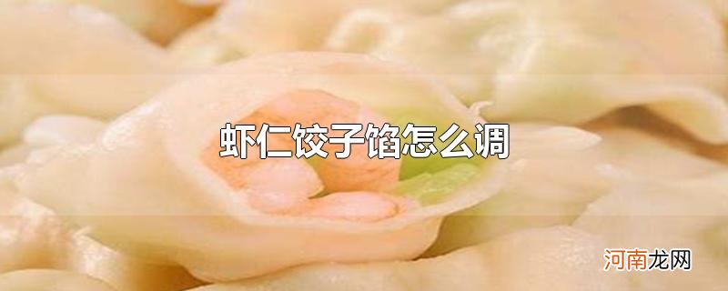 虾仁饺子馅怎么调