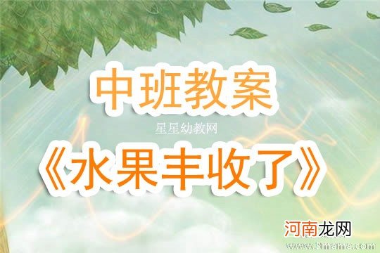 中班数学活动水果丰收了教案反思