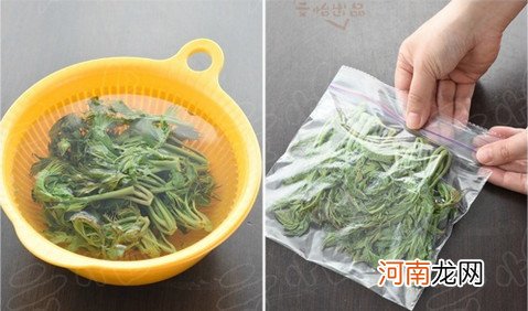 五种香椿芽的储存方法 香椿芽如何保存