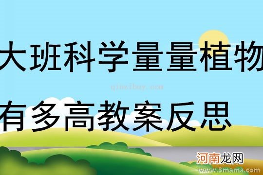 大班科学活动会翻跟头的电池娃娃教案反思