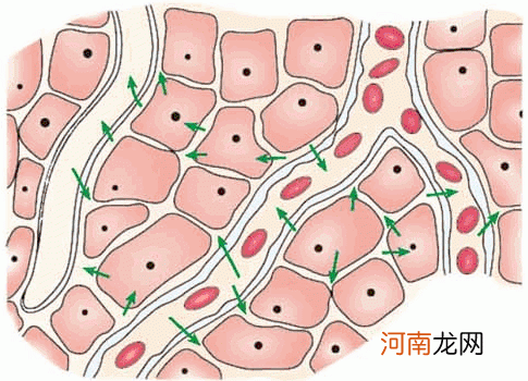 组织液血浆和淋巴有什么异同