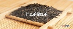 什么茶是红茶