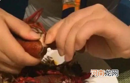 吃小龙虾的正确吃法 小龙虾的吃法剥法图解