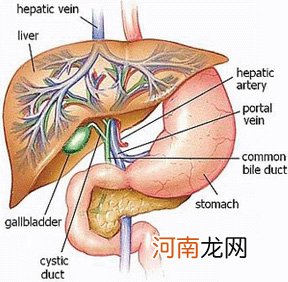 胆囊炎能喝什么茶好