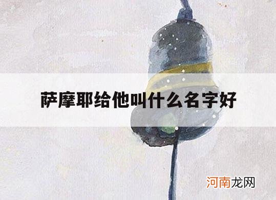 萨摩耶给他叫什么名字好_萨摩耶叫什么名字好听的名字