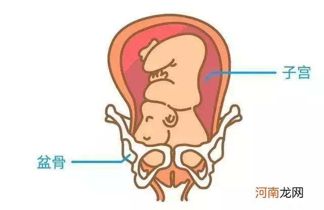 孕36周什么时候能生啊